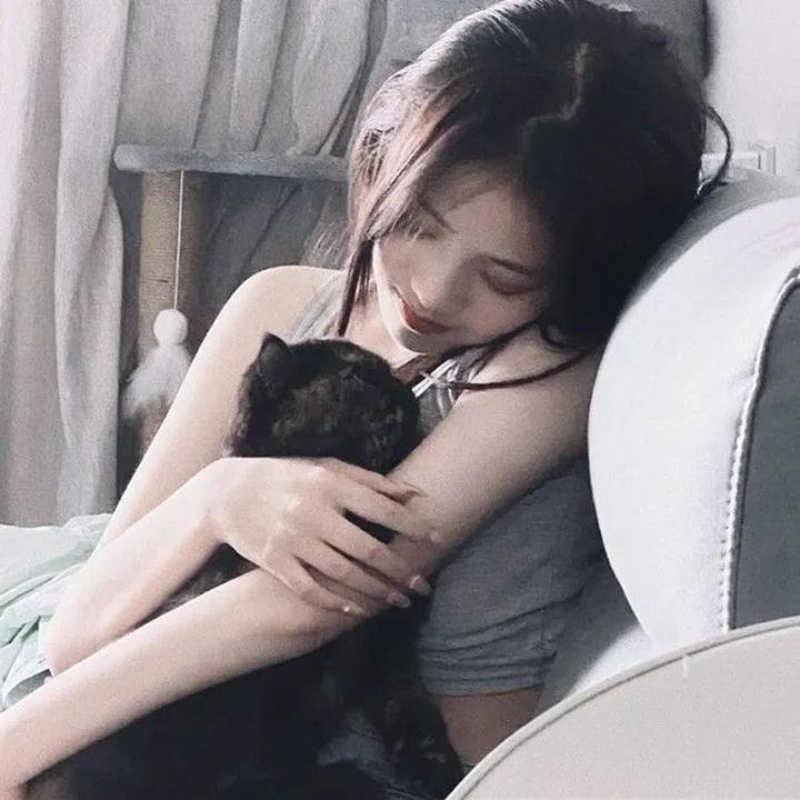 神捕铁飞花之千里缉凶